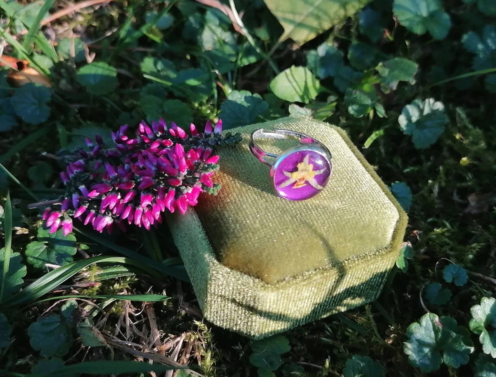 Purpurowy bratek. Jasny bratek na mocnym fiolecie, w srebrzystej oprawie. Ujęcie 1.